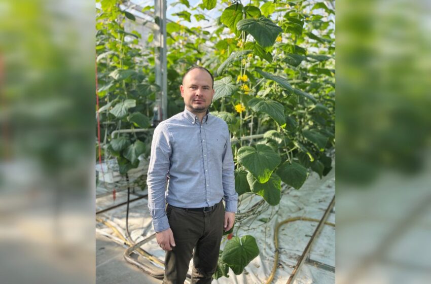  „Agrošiltnamiuose“ darbas verda ištisus metus