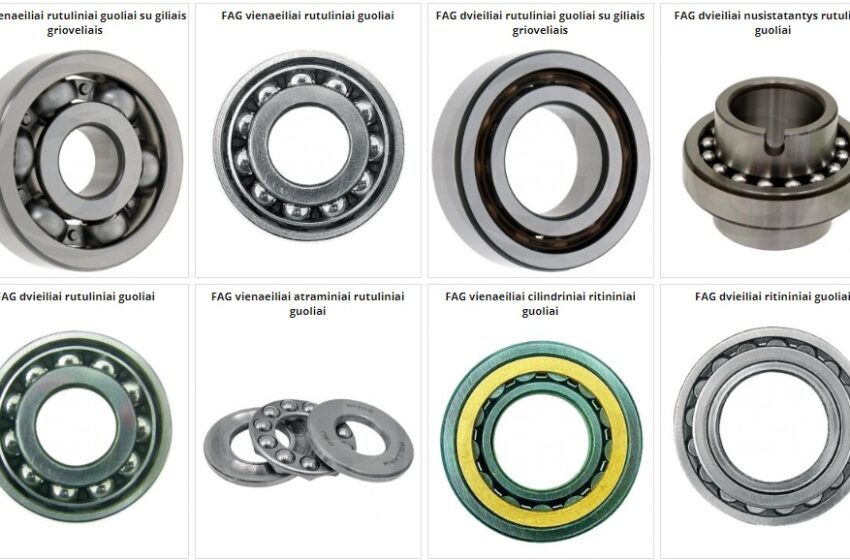  Išskirtinumas, kuriuos turi FAG guoliai