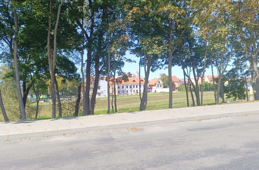  Kauno gatvėje nugenėti medžiai atvėrė vaizdą į senamiestį