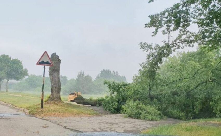  Praūžusios stichijos Kėdainių beveik nepalietė