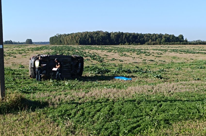  Tragedija Naujasodyje: žuvo 17-metė, dar du jauni žmonės – medikų rankose (FOTO, VIDEO)