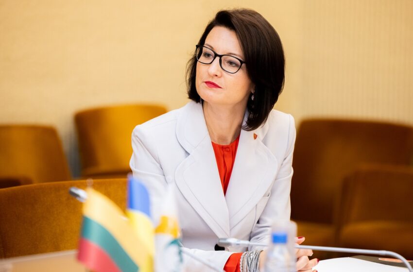  Referendumui dėl pilietybės išsaugojimo artėjant – ką svarbu žinoti?