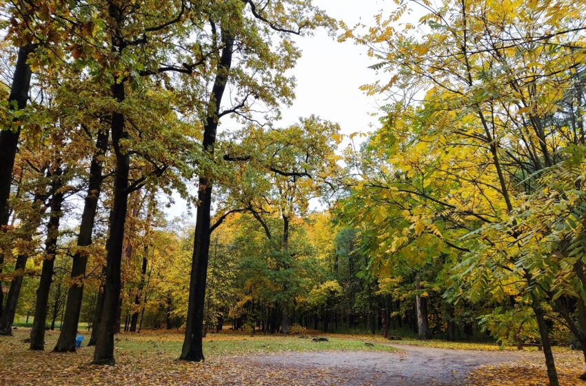  Trims kraštiečių idėjoms – 140 tūkst. ir pakeista pinigų skyrimo tvarka